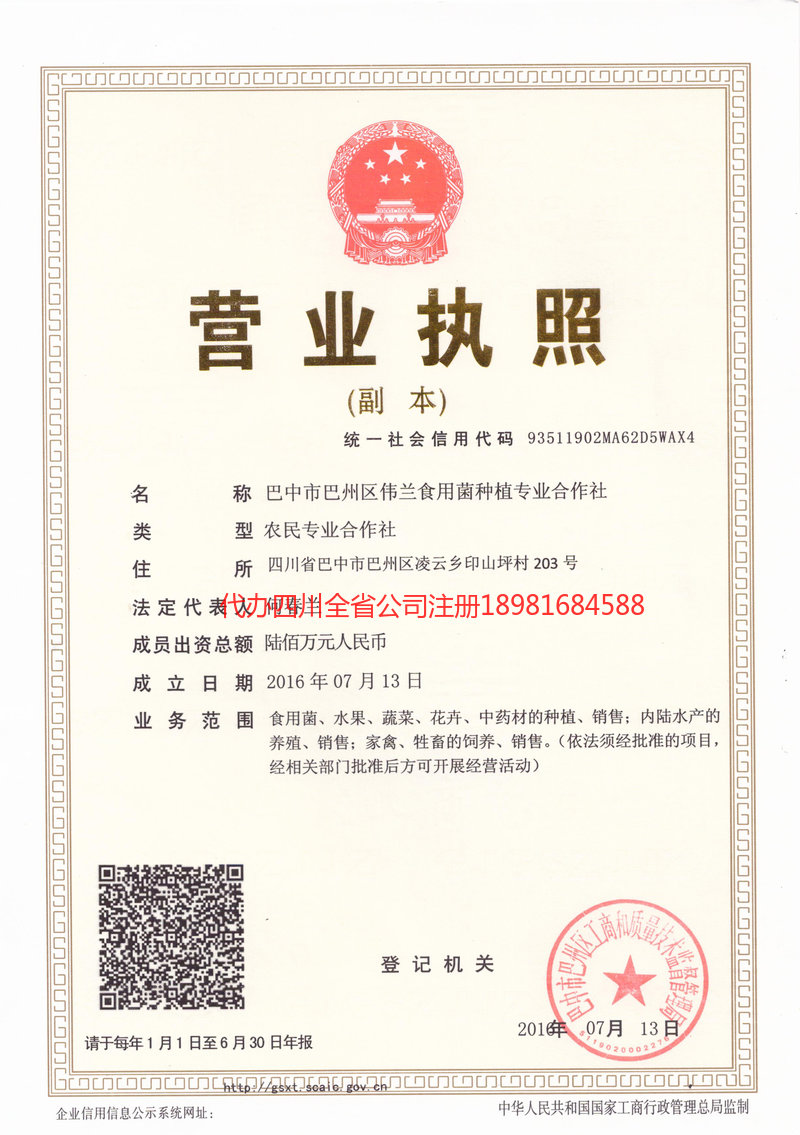 镇雄镇雄伟兰食用菌种植专业合作社